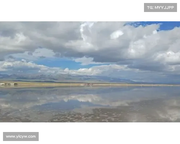 青海赛事今天直播青海今日赛事激情上演精彩对决盛况空前